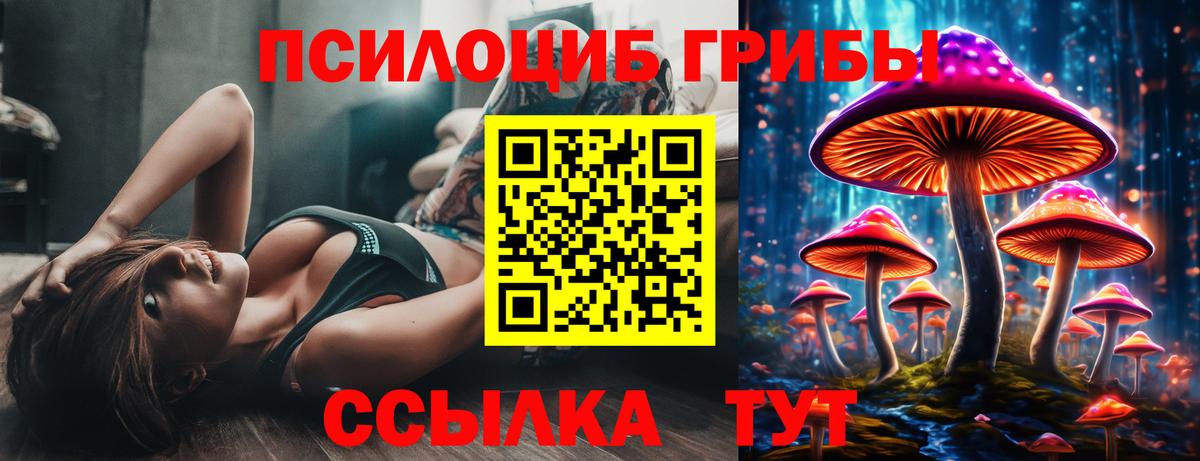 Белогорск  Галлюциногенные грибы прущие грибы  Вход с VPN 